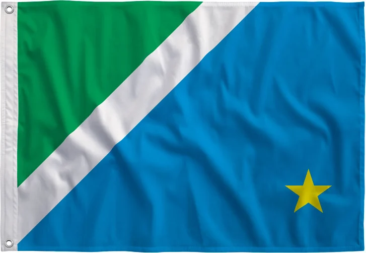 Bandeira de Mato Grosso do Sul estampada, vista de frente