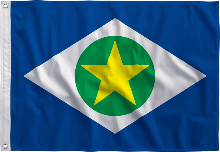 Bandeira de Mato Grosso estampada, vista de frente