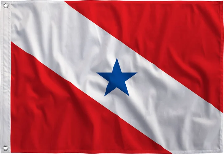 Bandeira do Pará estendida, com bainha e ilhós