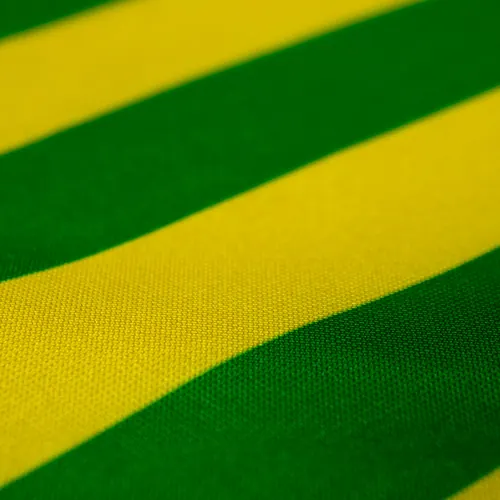 Detalhe do caimento da bandeira do Piauí