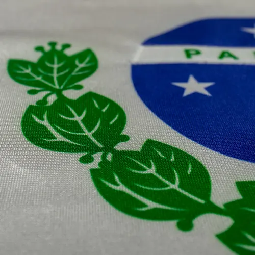 Detalhe do caimento da bandeira do Paraná