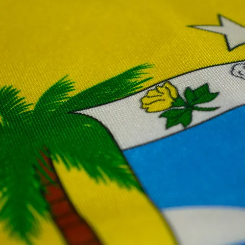 Detalhe do caimento da bandeira do Rio Grande do Norte