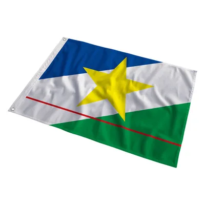 Bandeira de Roraima tremulando